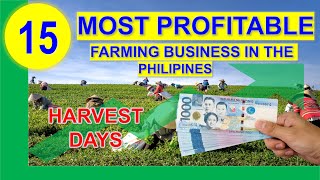 Top 15 Most Profitable Farming Business in the Philippines per Return on Investments w/ Harvest Days