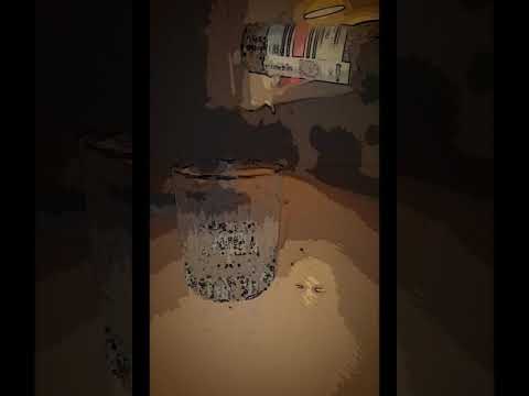 O.S.T.R - Masz to jak w banku(AlbertAntek wideo mashup)