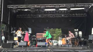 Breathe Owl Breathe - Parrots In The Tropical Trees