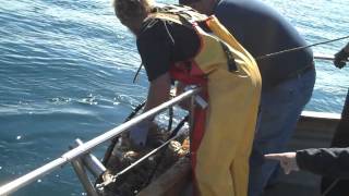 preview picture of video 'Fishing in Garibaldi Oregon'