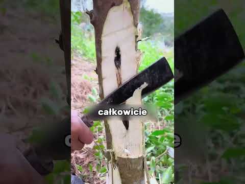 TEN METAL MNIE ZDZIWIŁ😲