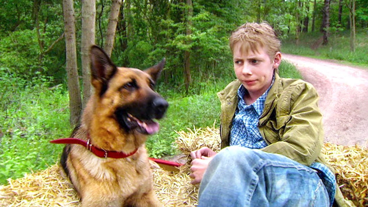 A Dog like no Other | Full Movie (English Subtitles)