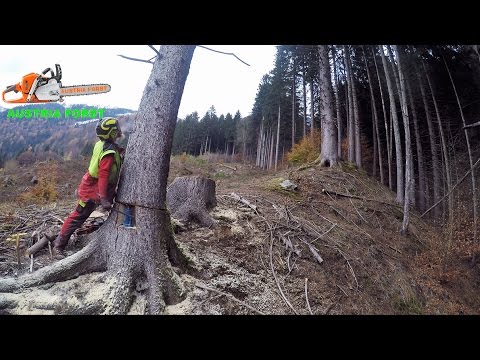 Backpacks Spruce cases with Hydraulic lifting man support