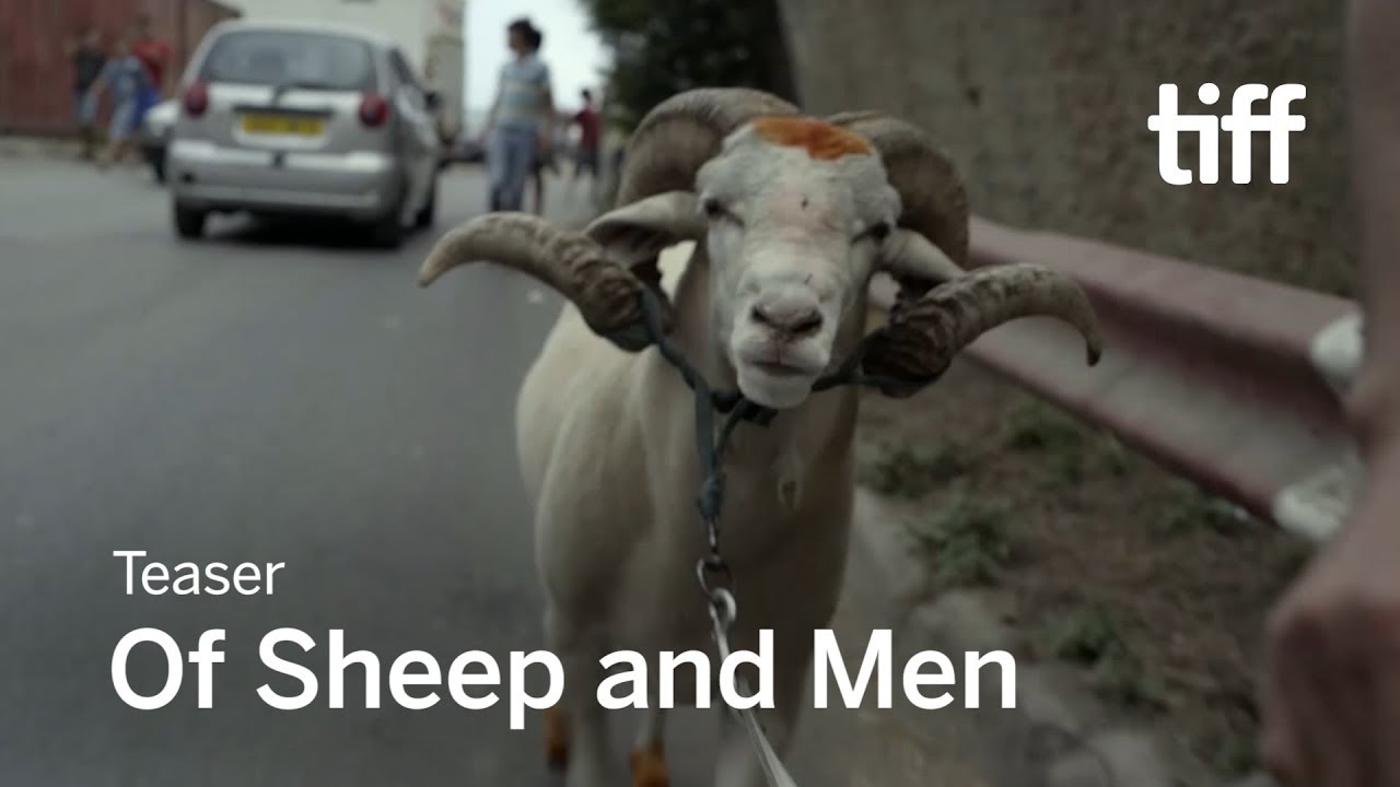 OF SHEEP AND MEN Trailer | TIFF 2017
