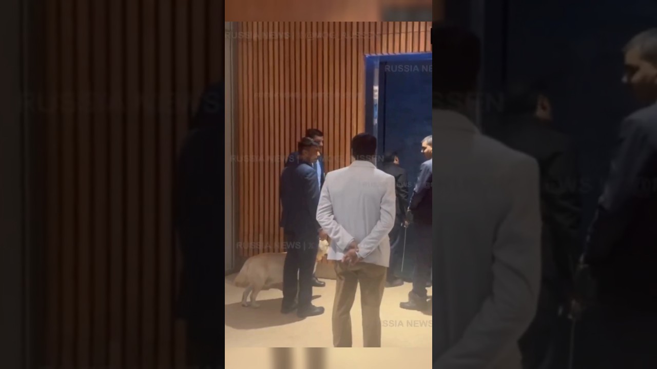 dog police in security inspections in Vladimir Putin- modi summit #shorts #fighteraircraft #putin