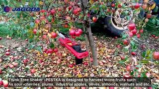 Venta de Jagoda Tree Shaker cosechadora de bayas - Imagen 8 | Agronetto CO Jagoda Tree Shaker cosechadora de bayas nueva | Imagen 8 - Agronetto