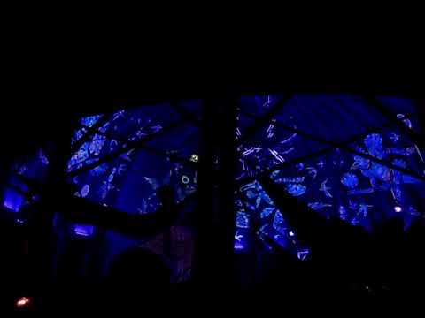 Shpongle by Michele Adamson (Ozora 2022)