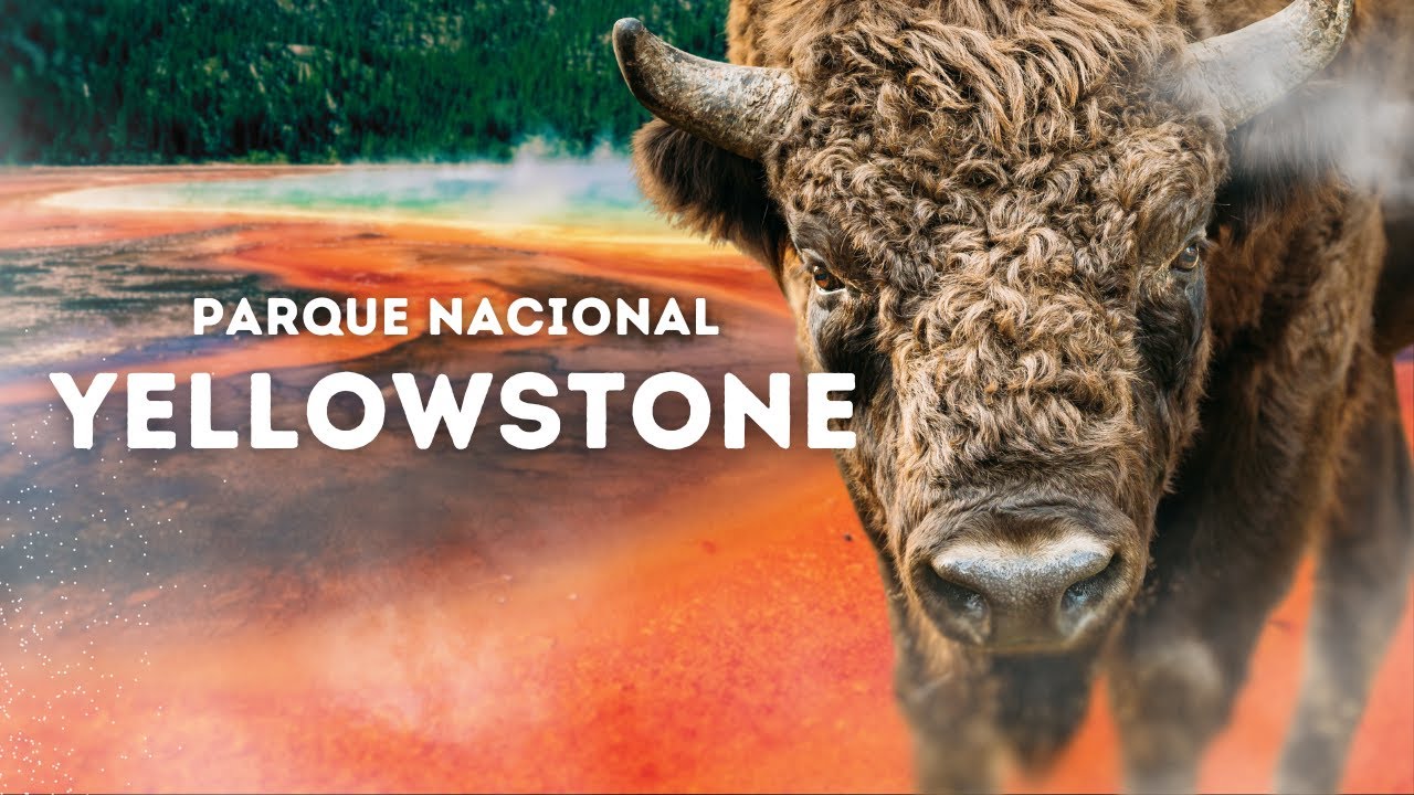 YELLOWSTONE | O Paraíso Selvagem dos Estados Unidos | Documentário Relaxante
