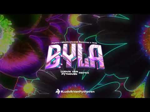 Piękni i Młodzi Dawid Narożny x TKM - Byłe (LudvikVanPythoven Remix)