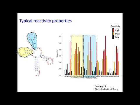 The RBP Footprint Grand Challenge at RNA 2021-2022 - Michelle Meyer - iRNA - Talk - ISMB/ECCB 2021