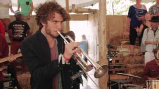 Jungle by Night - El Miraglo (Village Sessions)