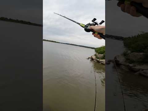 Shimano DC on a budget #fishing #carp #lakegranbury #catfish #casting