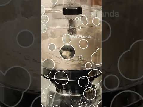 Chapati or Roti Dough within Seconds | Preethi Zodiac Mixer Review #shorts #review #unboxing