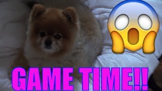 WET HEAD CHALLENGE, FAMILY FUN! SILLY FAKE PRANK!! (FUNKEE BUNCH GAME)