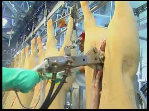 Abc-1 Hydraulic Aitch Bone Cutter