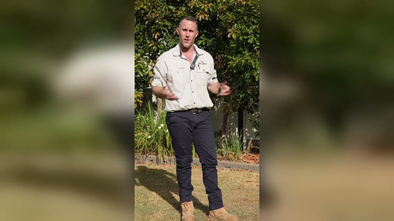 Patchy Lawns: Identifying the Causes