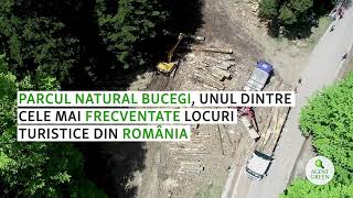 Jaful în pădurile seculare din munții Bucegi continuă