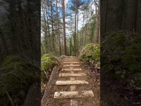 Building a MTB Drop!#yt #ytshorts #mtb #trailbuilding #trailbuilder #tracks #trails #building #wood