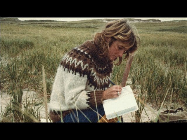 Tráiler de Geografías de soledad