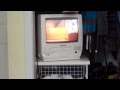 Opening To Cinderella 1995 VHS