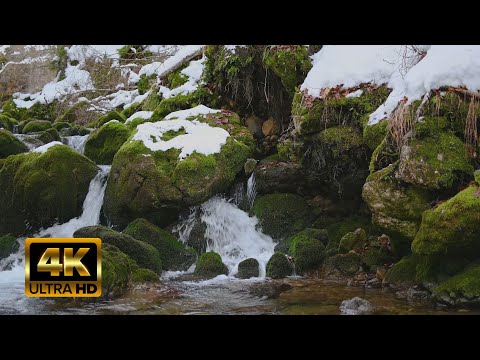 Cascading Winter River Stream Over Moss Covered Rocks - ASMR Relaxation Video - 8 Hours in 4k