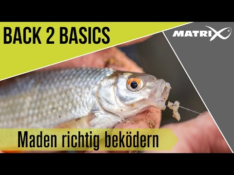 *** MATCH ANGELN TV *** Back 2 Basics - Maden richtig beködern