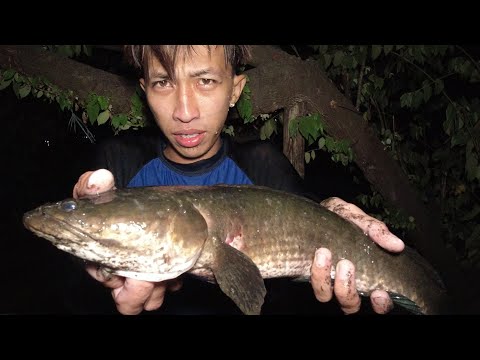 SE02EP027 - ANGLAKI NITO! DALAG na NAG TATAGO sa ILALIM ng DAMUHAN | Pangingilaw