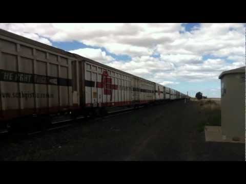 SCT at Gheringhap....again!