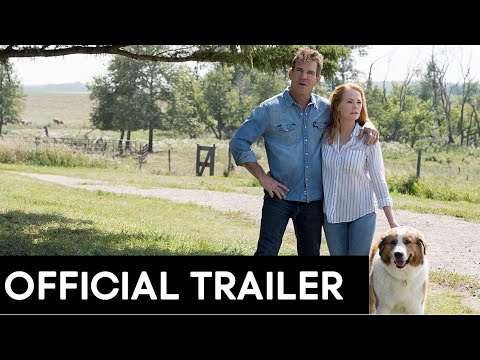 A Dog's Journey (International TV Spot)