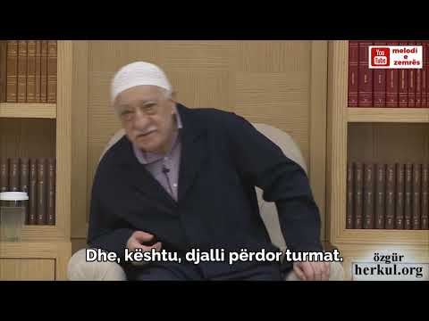 Melodi e Zemrës 54- Të shpëtosh nga të qenët jetimë personalitetesh