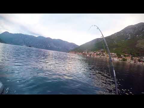 Zfish Swing Shad 11,5cm - 4ks Varianta A2