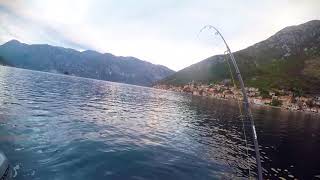 Gumová nástraha Zfish Minnow Shad A6_11,5cm_4ks