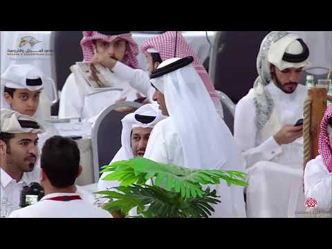 N 353 MEDAN ELALYA   22nd Qatar National 2019   Stallions 7 to 10 Years Old Class 13