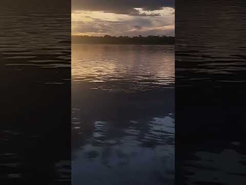 Rio São Francisco São Romão MG. #pesca # pescaria #caranha