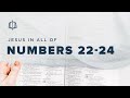 BALAAM | Bible Study | Numbers 22-24