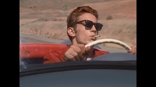 Rebel in the F.D.G. Music Video