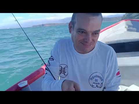Pesca con alacrán en puntarenas.