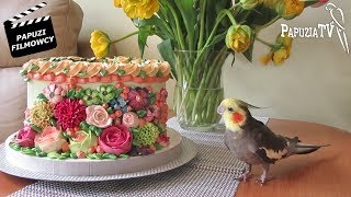 Как попугаи празднуют день рождения