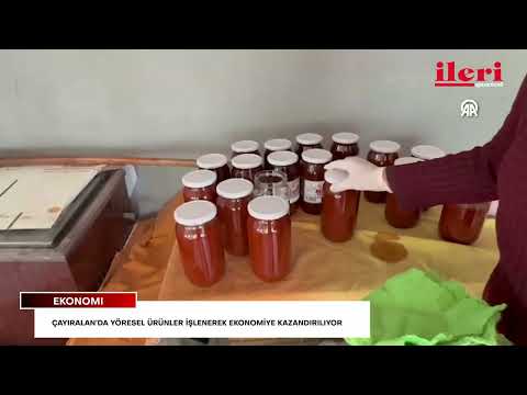 Çayıralan’da yöresel ürünler işlenerek ekonomiye kazandırılıyor | İleri Gazetesi