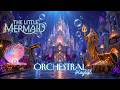 🧜‍♀️ part of your world  🐚 majestic disney orchestral for focus & healing ✨ mermaid castle ambience DEFAULT Thumbnail