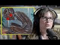 Aliens or Demons? Catholic Texts Confirm the Evidence | Diana Walsh Pasulka