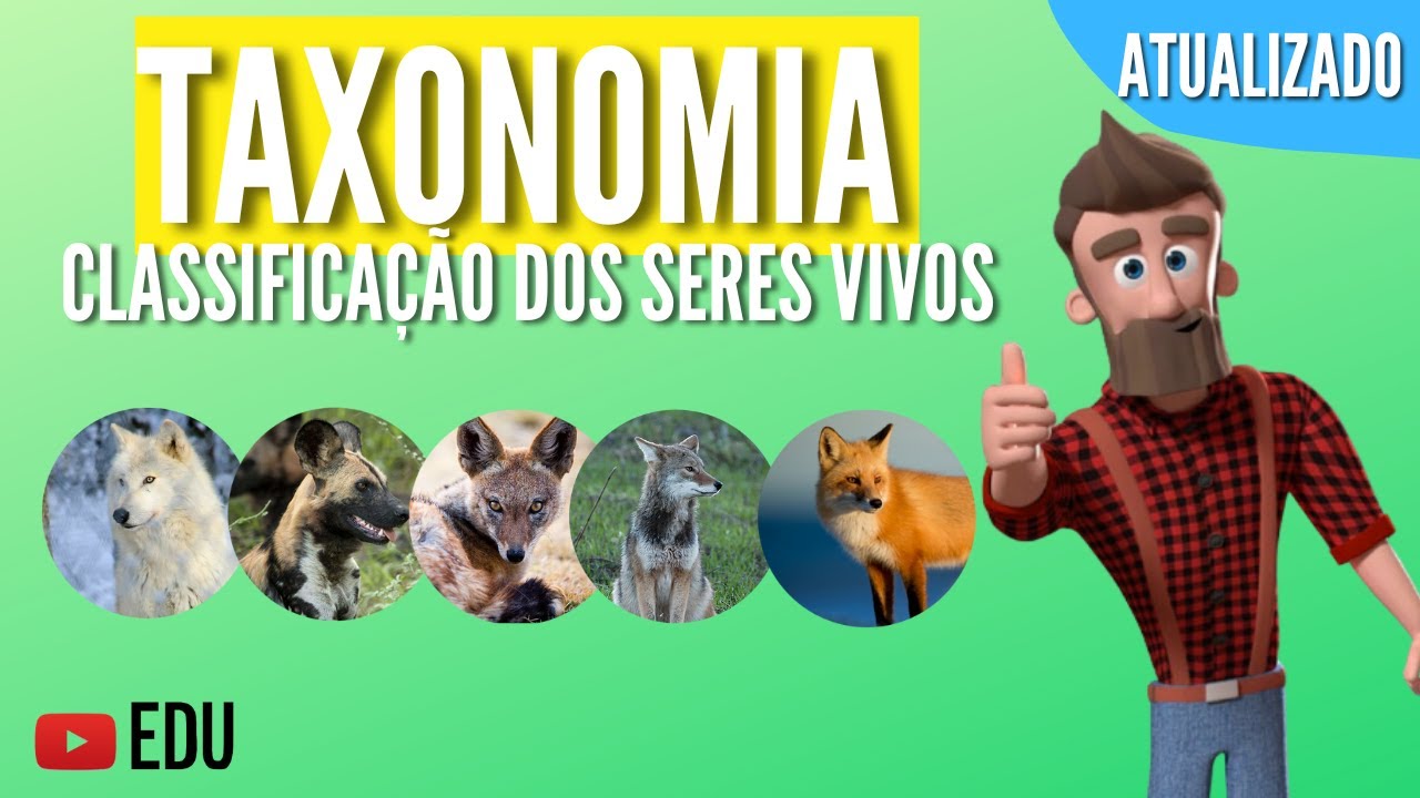 TAXONOMIA | COMO CLASSIFICAR OS SERES VIVOS | Animação