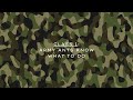 March Of The Army Ants
