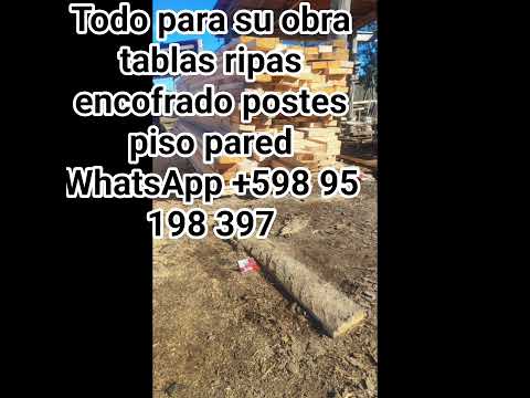 Comprar maderas en rivera #Rivera #Uruguay #Maderas #Tablas #MJC #Shorts