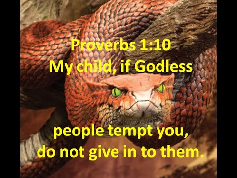 Fountain Drink 24.02.01