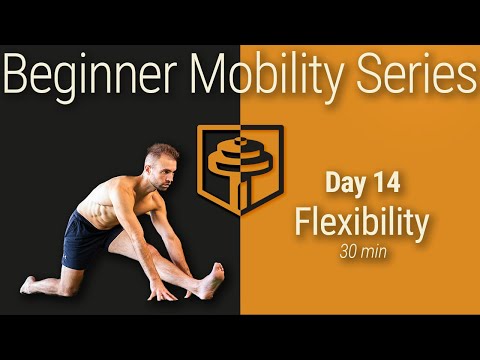 Day 14: Full Body Flexibility | 30 Minutes | Beginner Mobility Series thumbnail