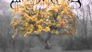 Adora Vivos (Woods of Ypres cover) - Raphael Weinroth-Browne