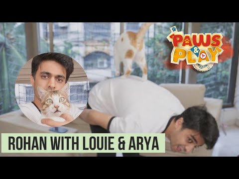 PAWS & PLAY: Rohan Joshi | Cat parent