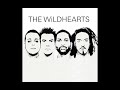 The Wildhearts - Slaughtered Authors (Demo)