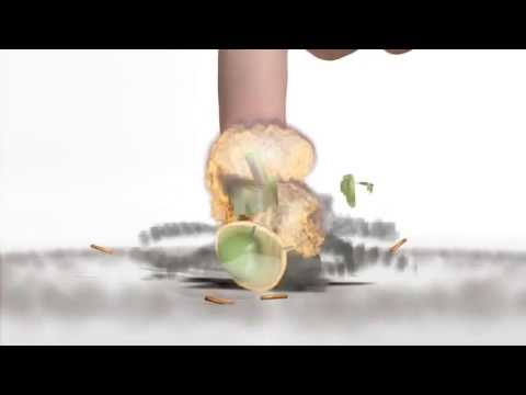 Blow Them All Live Wallpaper Video